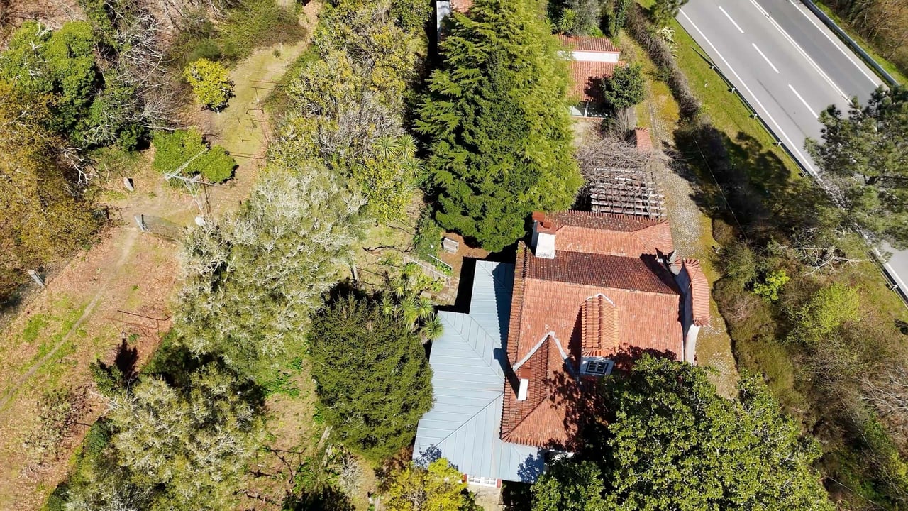 Charming Countryside Estate Near Braga – 11 Acres of Privacy, Potential & Portuguese Character