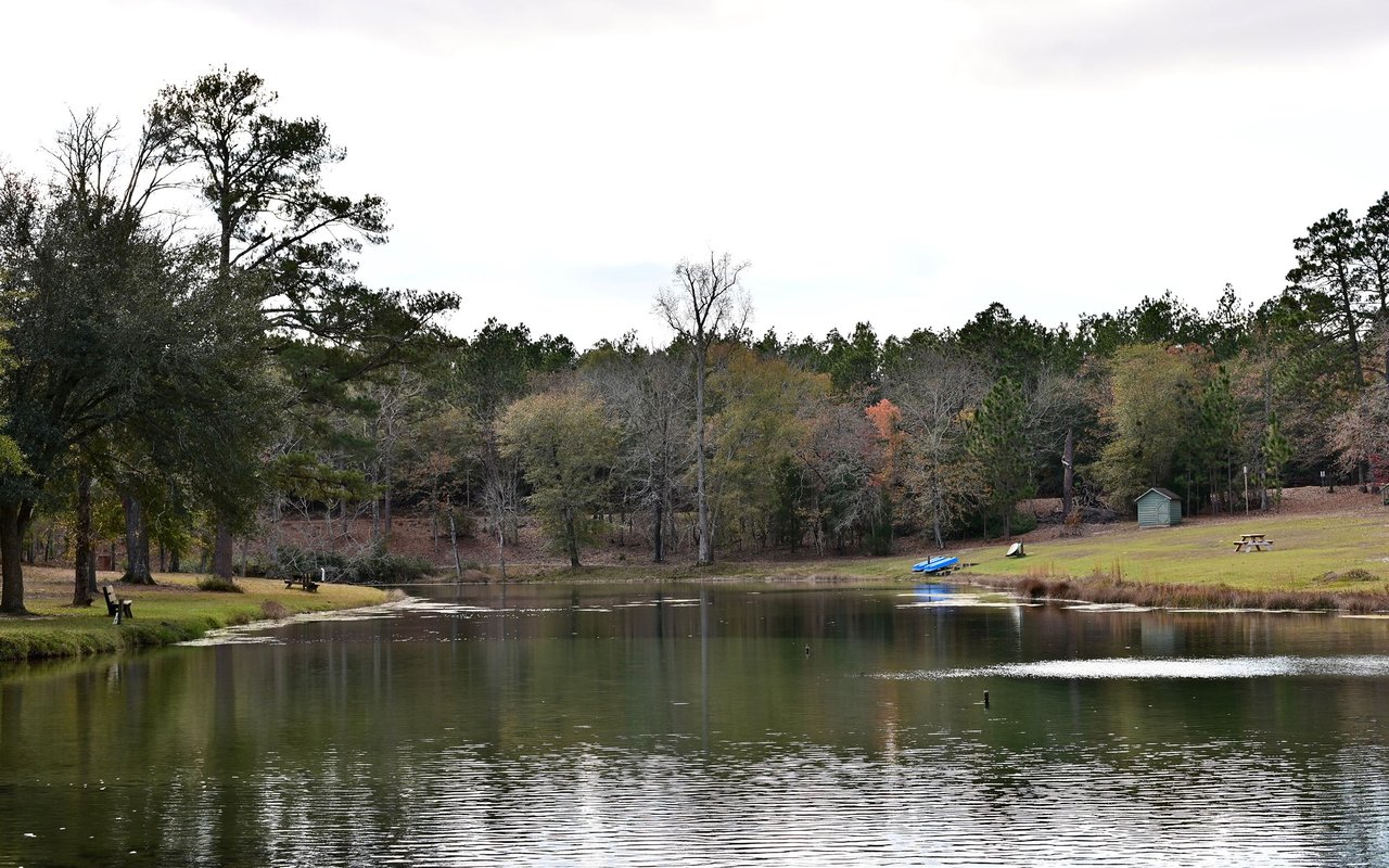 Aiken