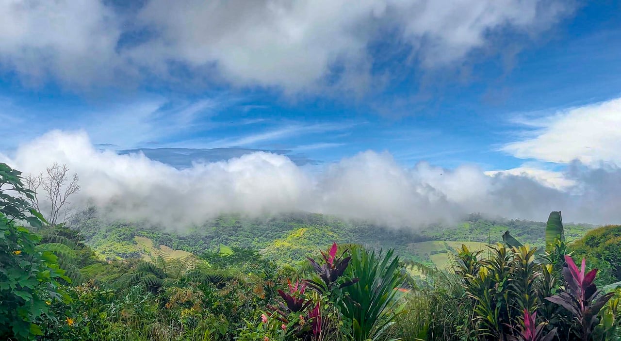 Tinamastes Costa Rica Property with Home, Yoga Deck & Land