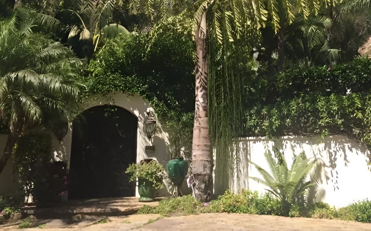 Lush garden entrance with a dark arched gate, tall palms, and green planters.