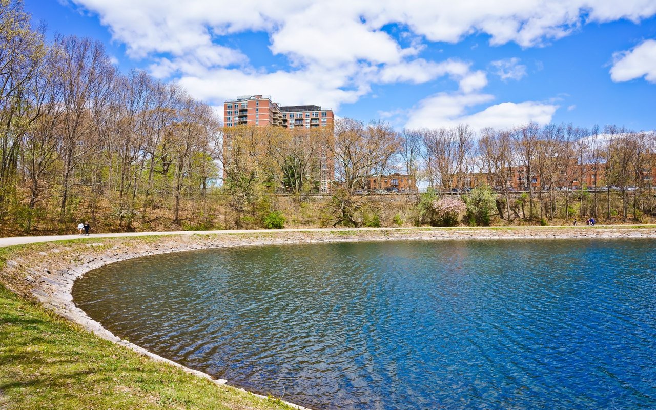 Chestnut Hill