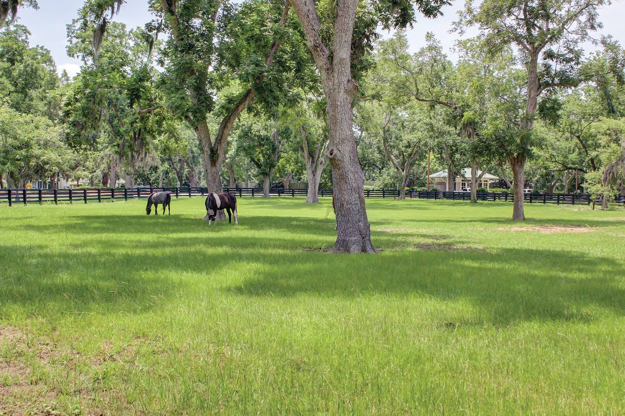 Moss Creek