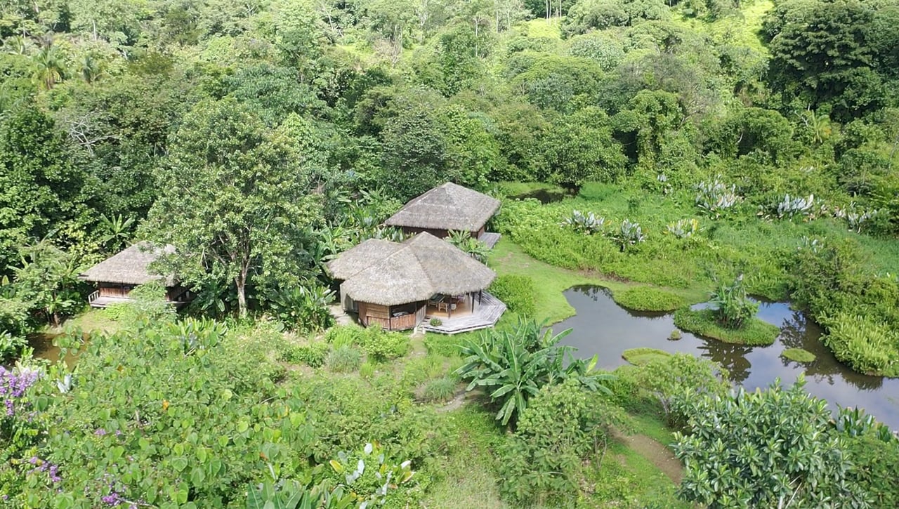 60 Acre Fully Sustainable and Impactful Conservation Initiative Near Golfito
