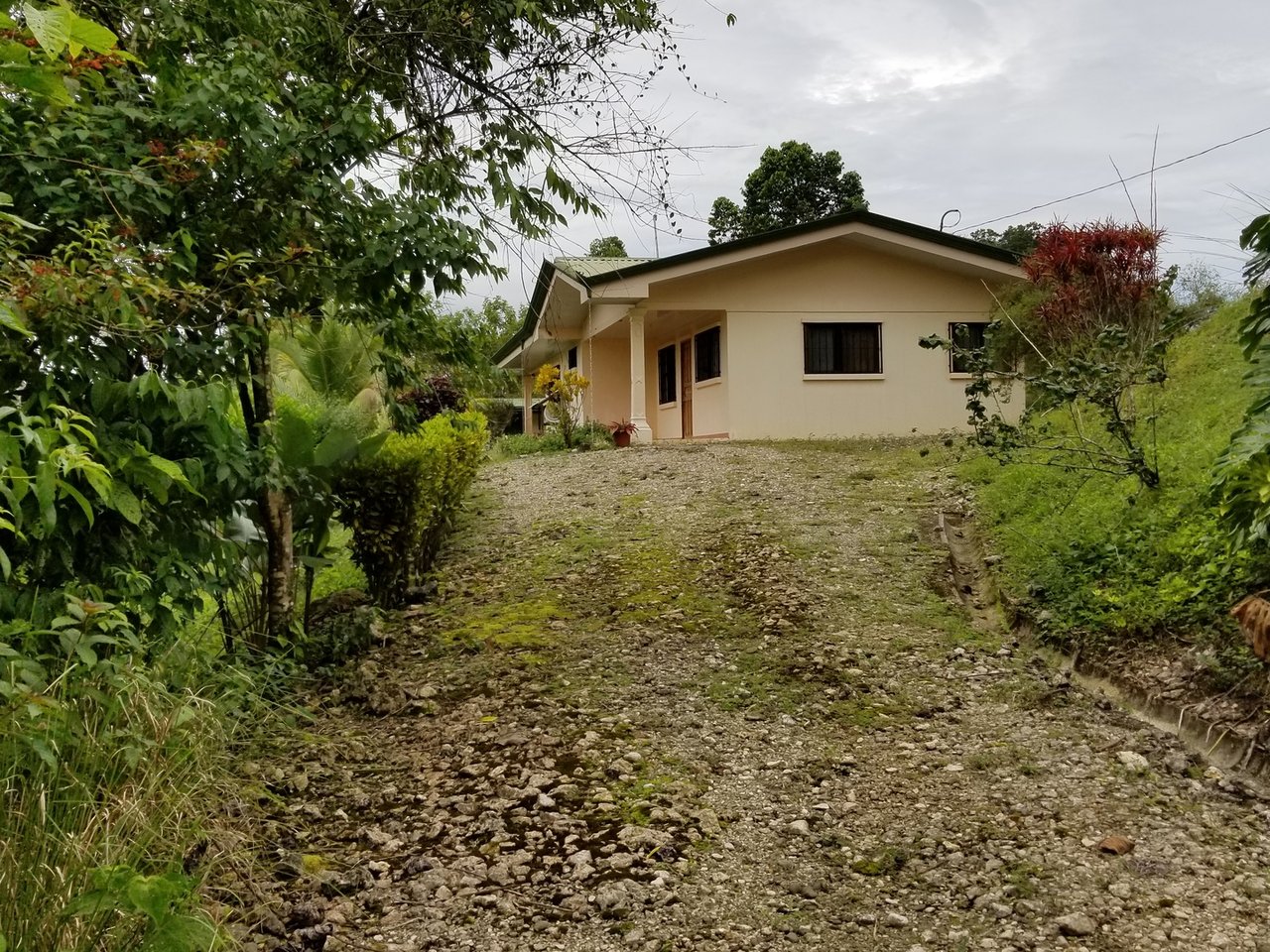 Sustainable Organic Farm, Osa, Puntarenas