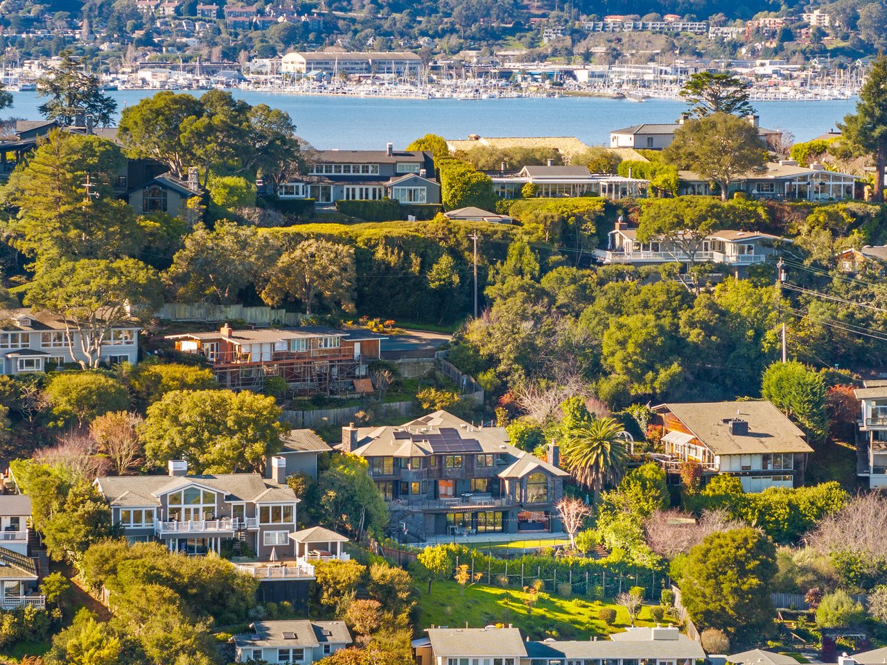 Stylish and Renovated Belvedere Beauty