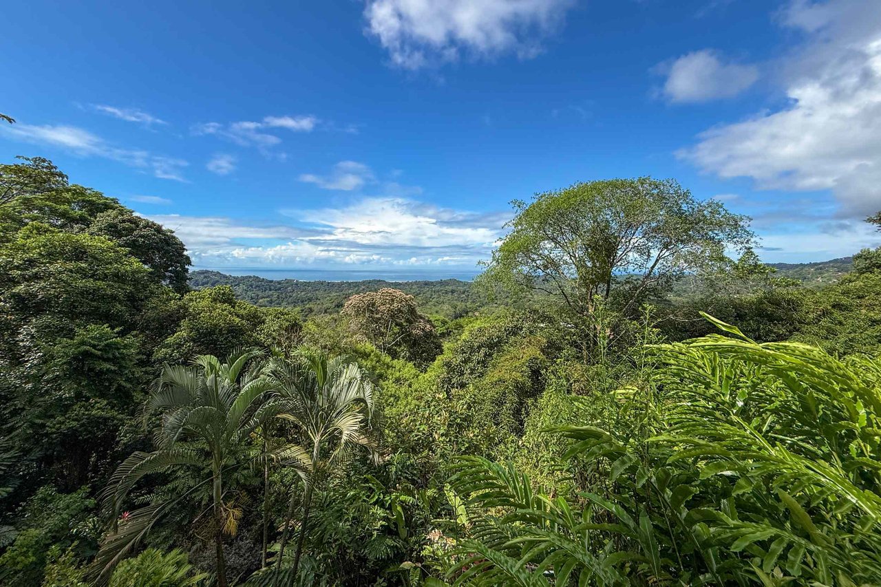 Panoramic Ocean View 4-Bedroom Home with Big Pool & Ample Space to Entertain in Ojochal Costa Rica