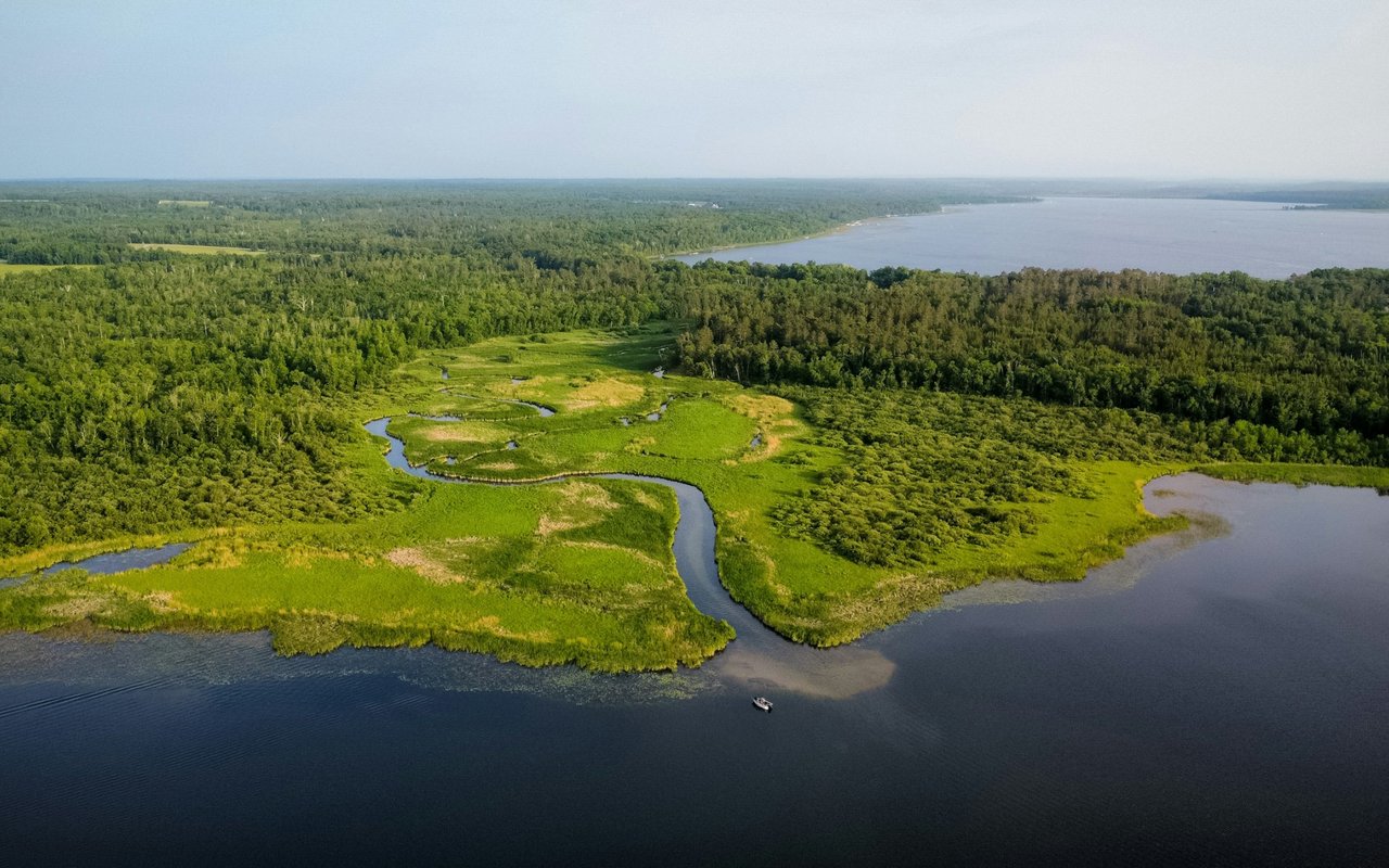 Aerial view of Alva wetlands, with a winding creek, broad waterway, and small boat.