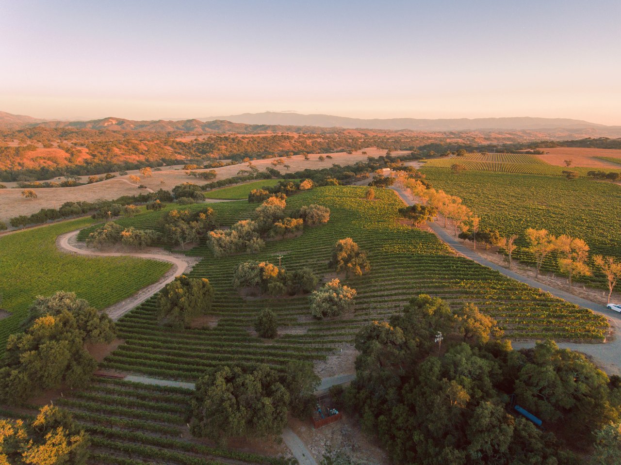 Rancho la Zaca