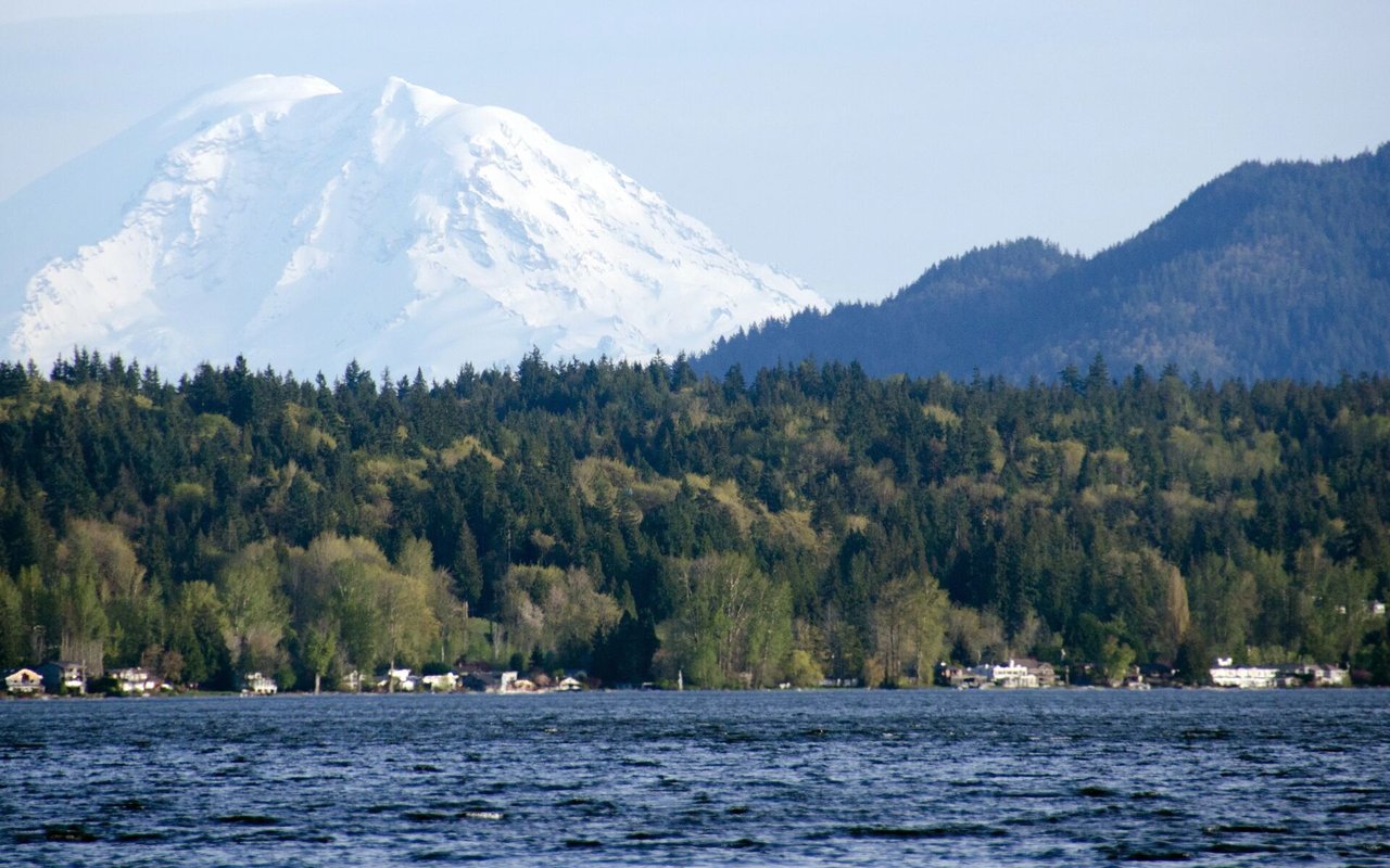 Chuckanut