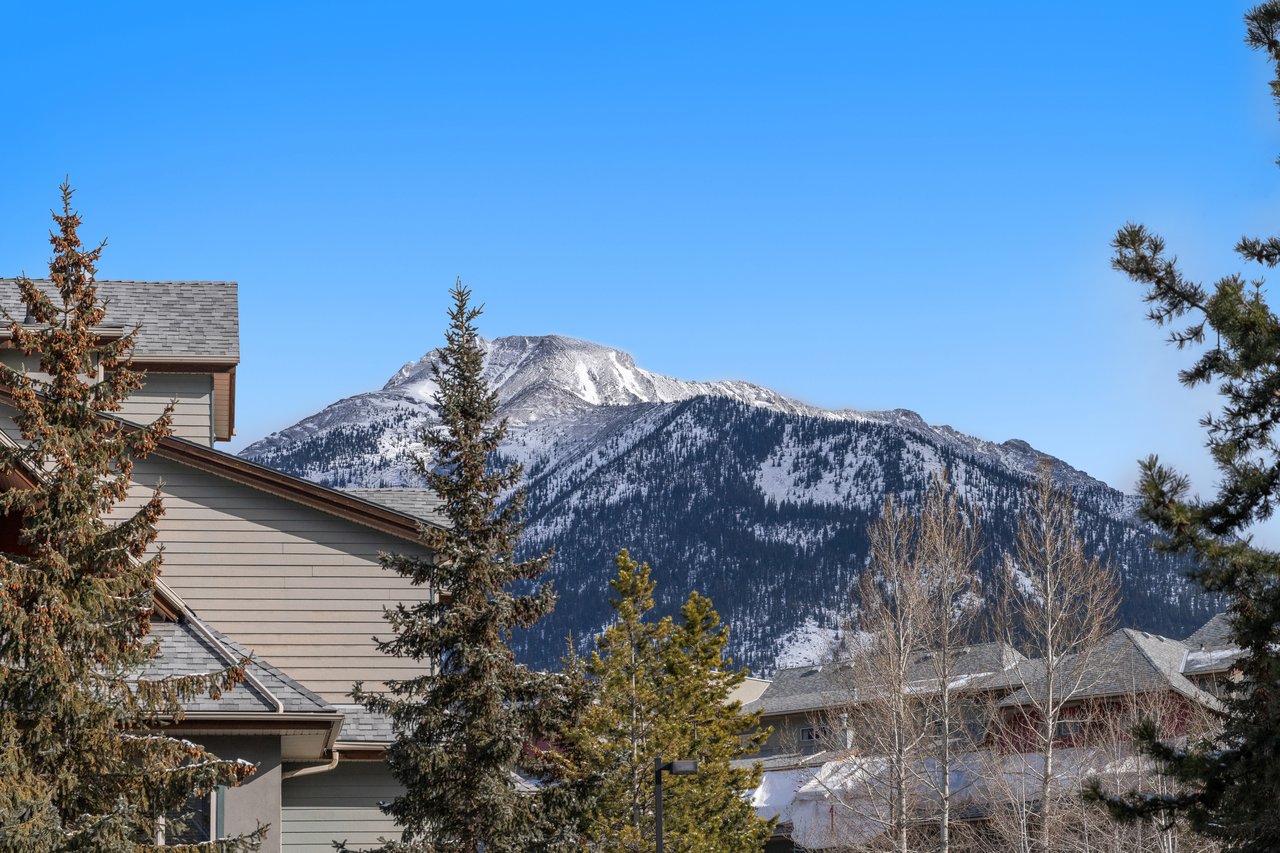 222 - 101 Montane Road