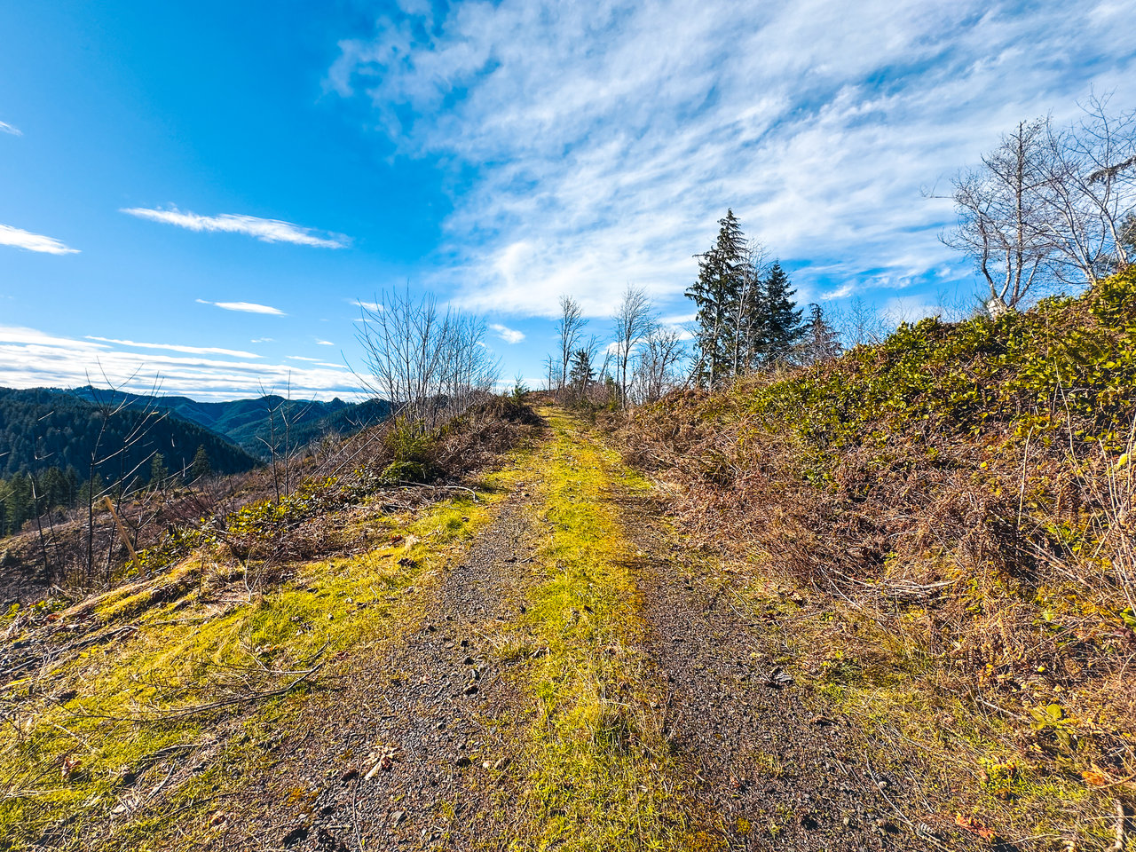 Smith River Back Woods