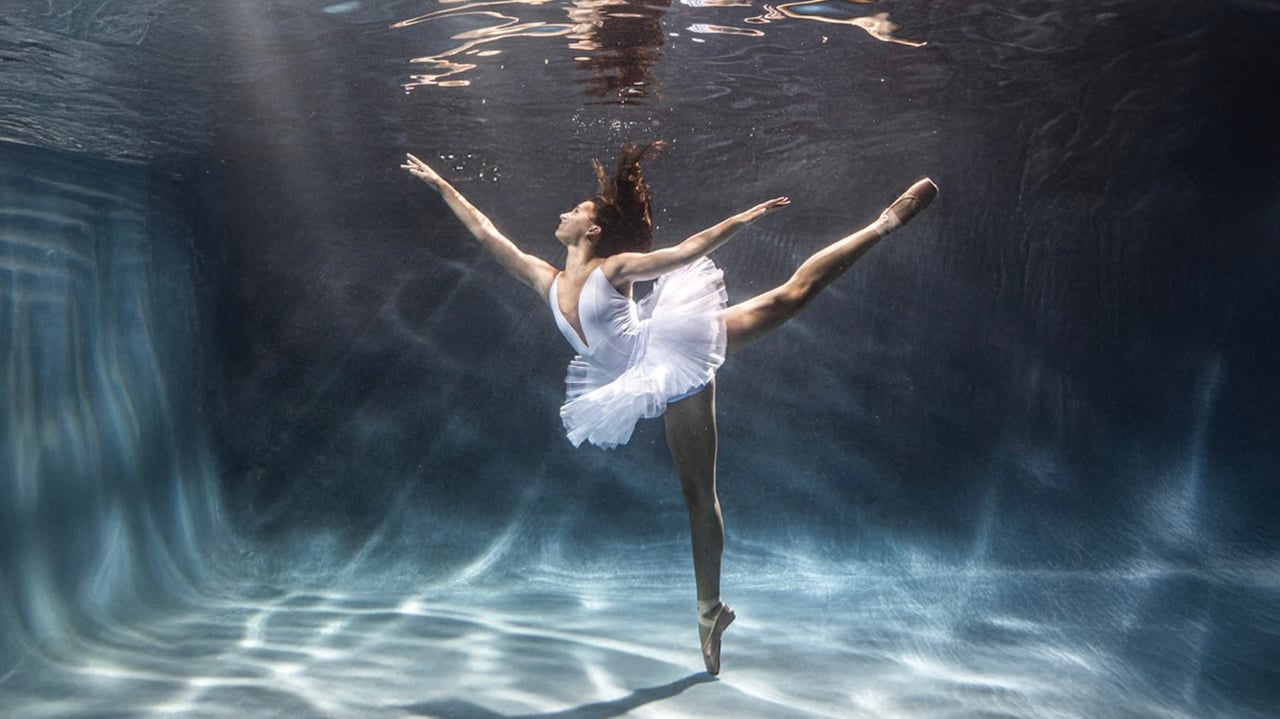 Premier Performances 