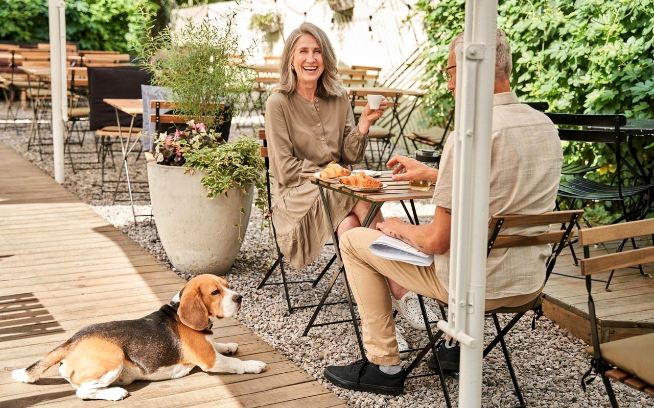 Pet‑Friendly Restaurants in Santa Cruz cover