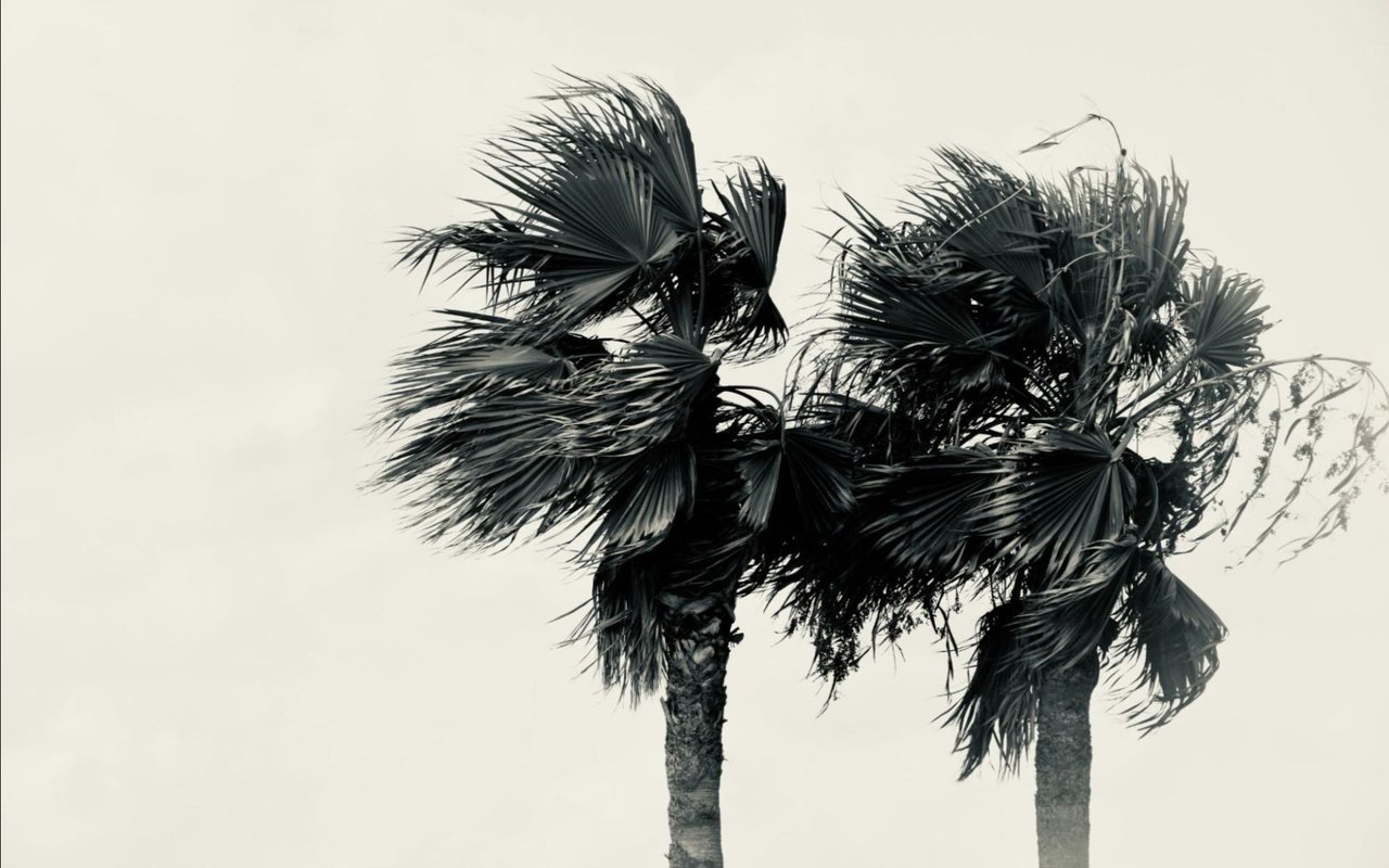 Emergency Preparedness in Boca: What Residents Need to Know for Hurricane Season