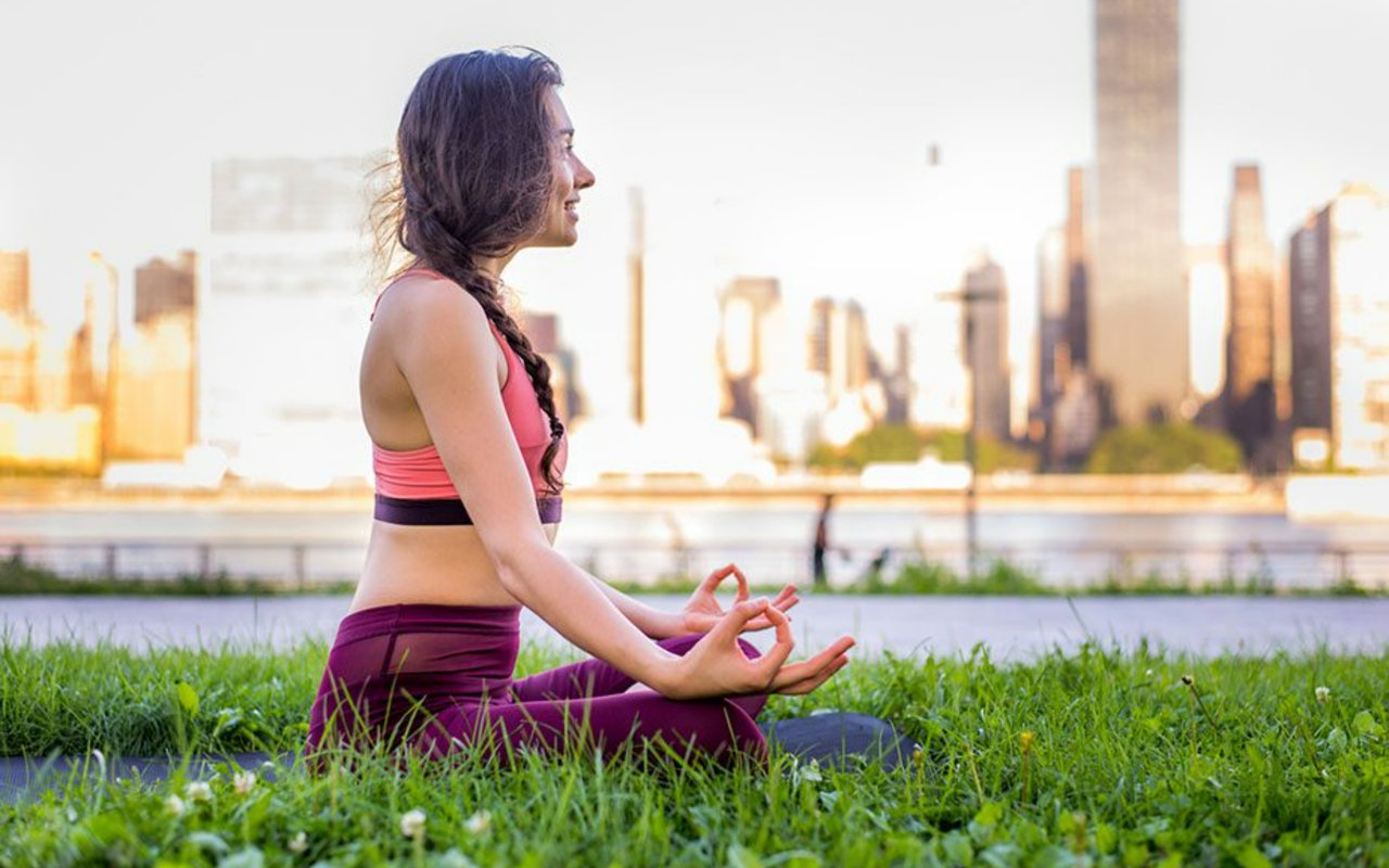 Navigating Toronto’s Health and Wellness Scene