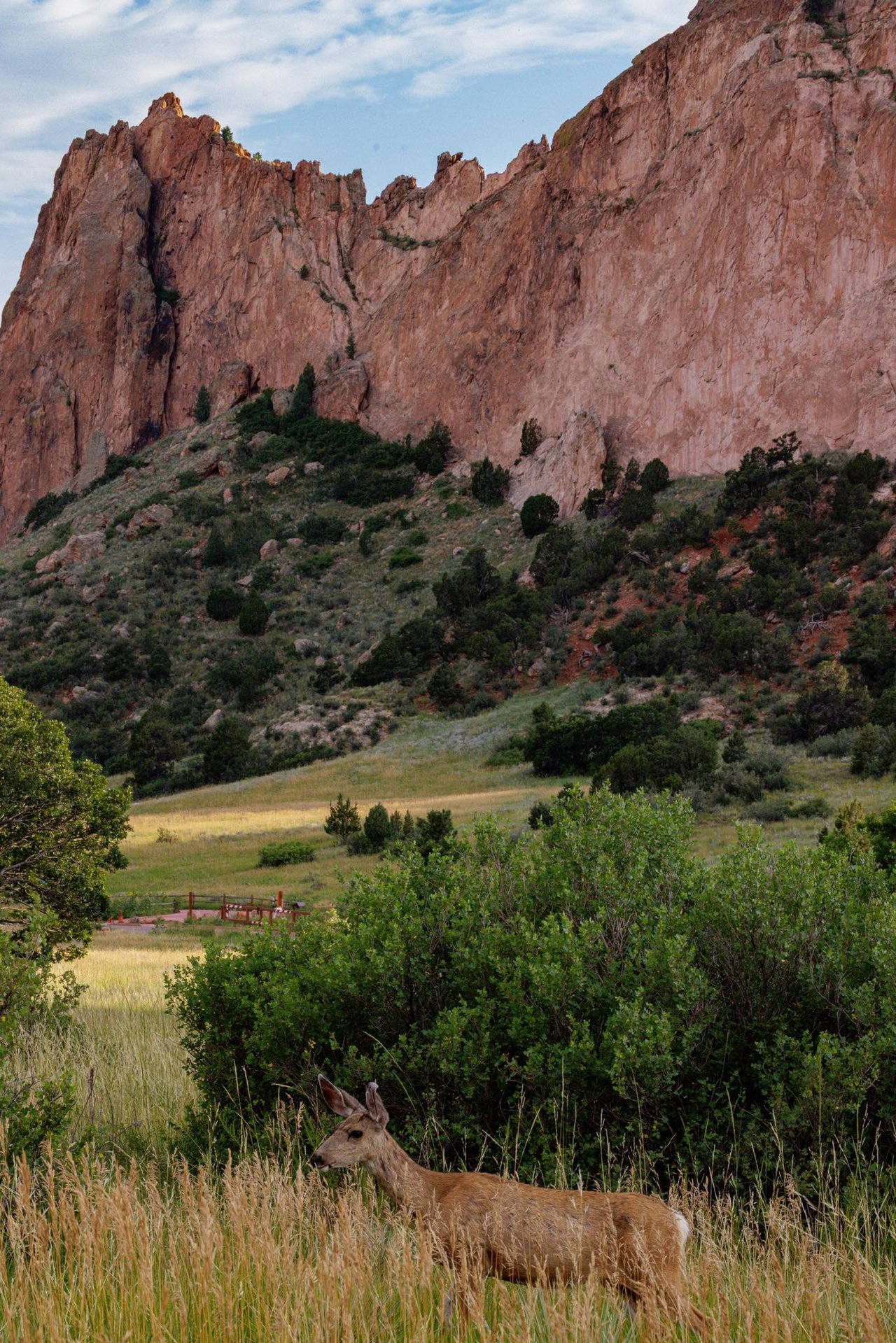 Garden of the Gods: Where Colorado Springs Comes Alive