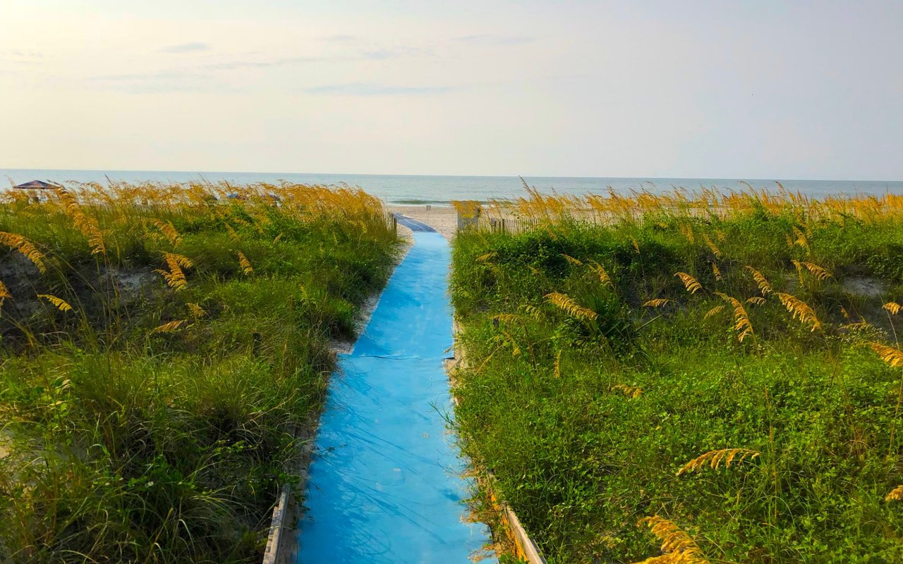 Palmetto Dunes