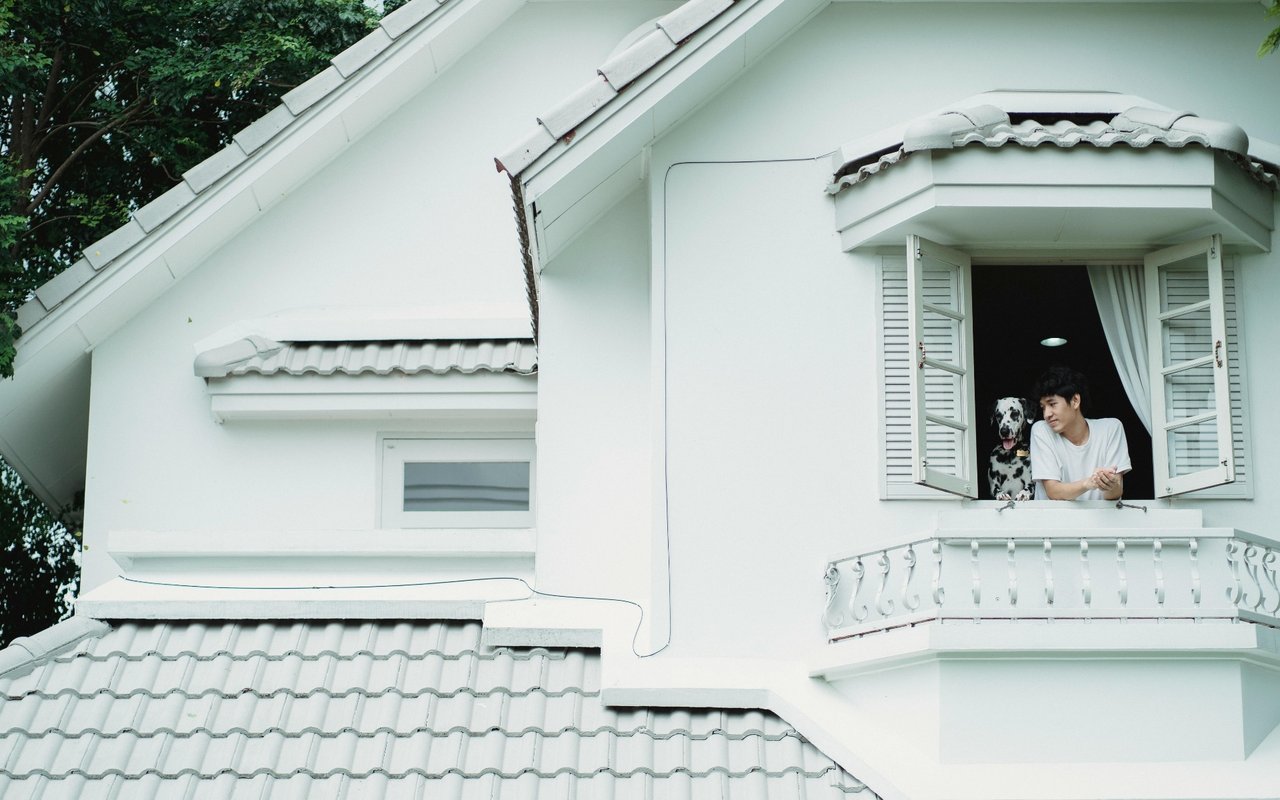 The Pet Owner's Guide To Buying A Home: 5 Things To Consider For Your Furry Friends