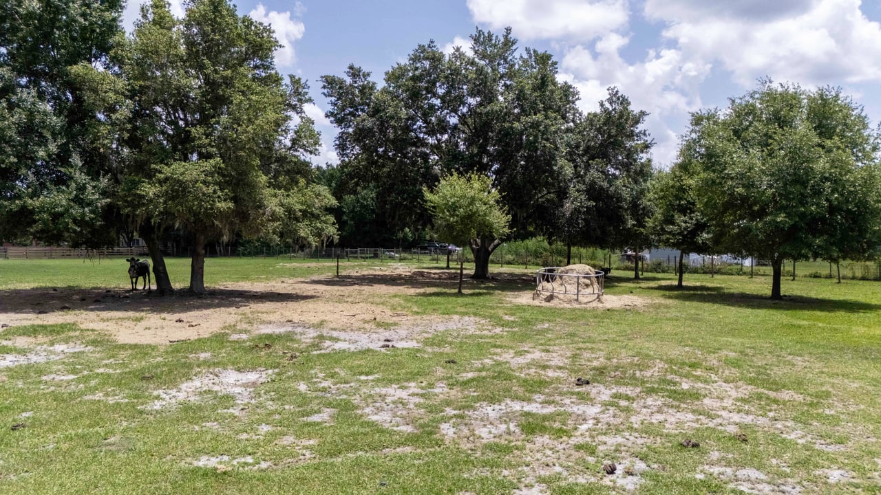 3320 Shadow Hawk Trail