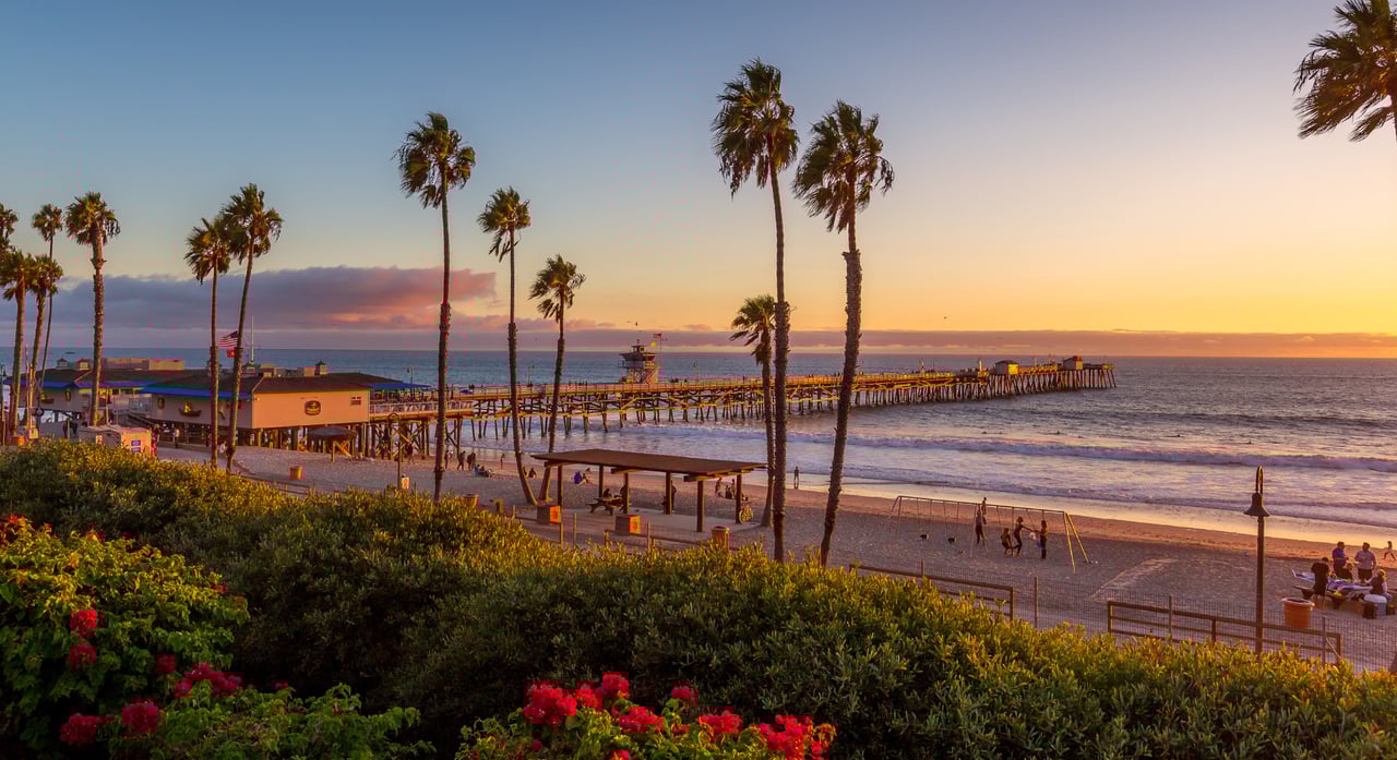 Early Trends: Market Signals