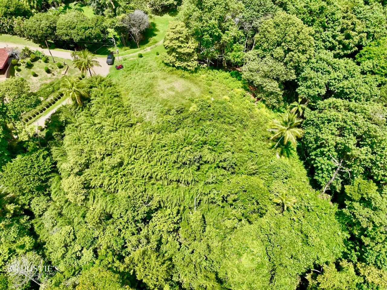 Whale’s Tail and Ocean View Lot 5.3-Acre