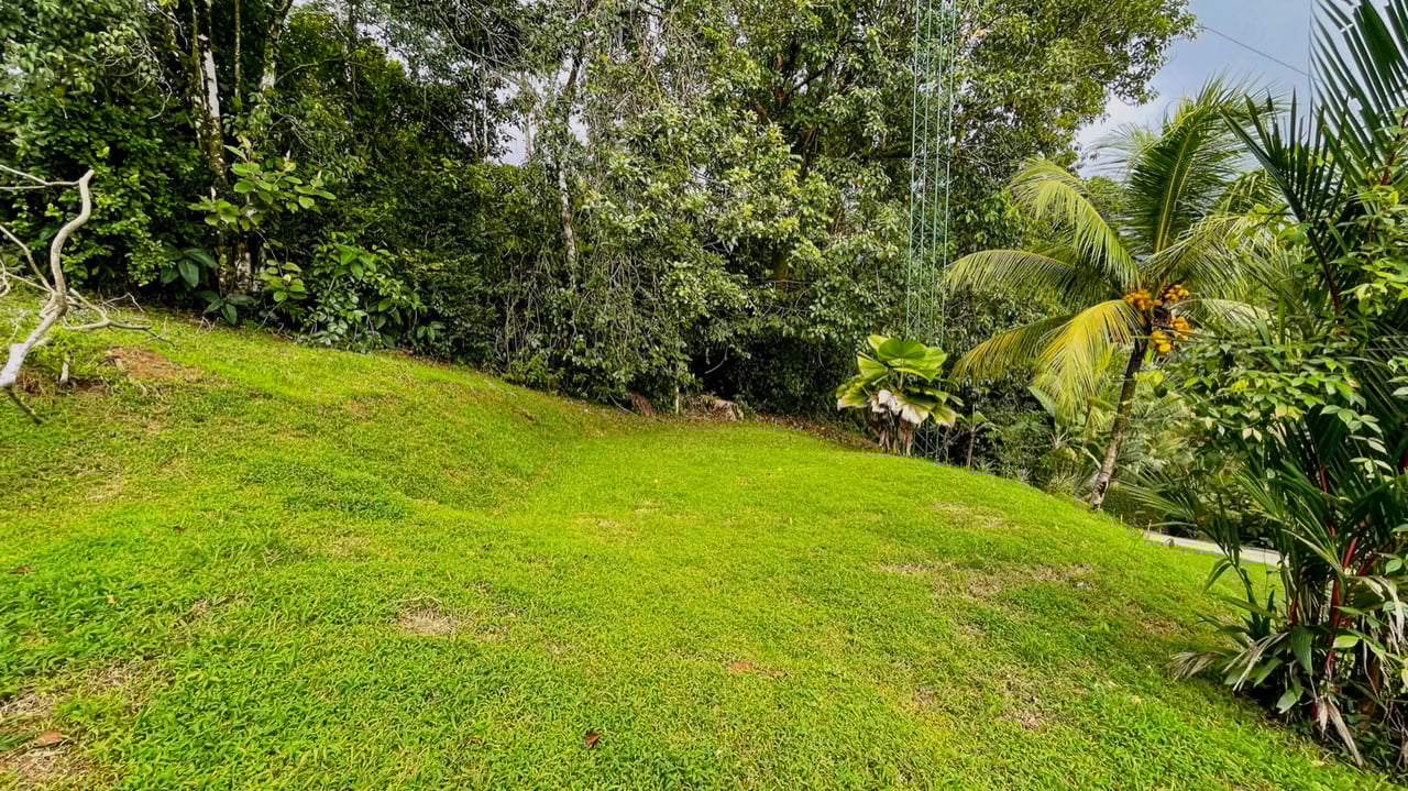 Two Homes on 1.55 Acres with Ocean & Mountain Views – Plus Room to Build!