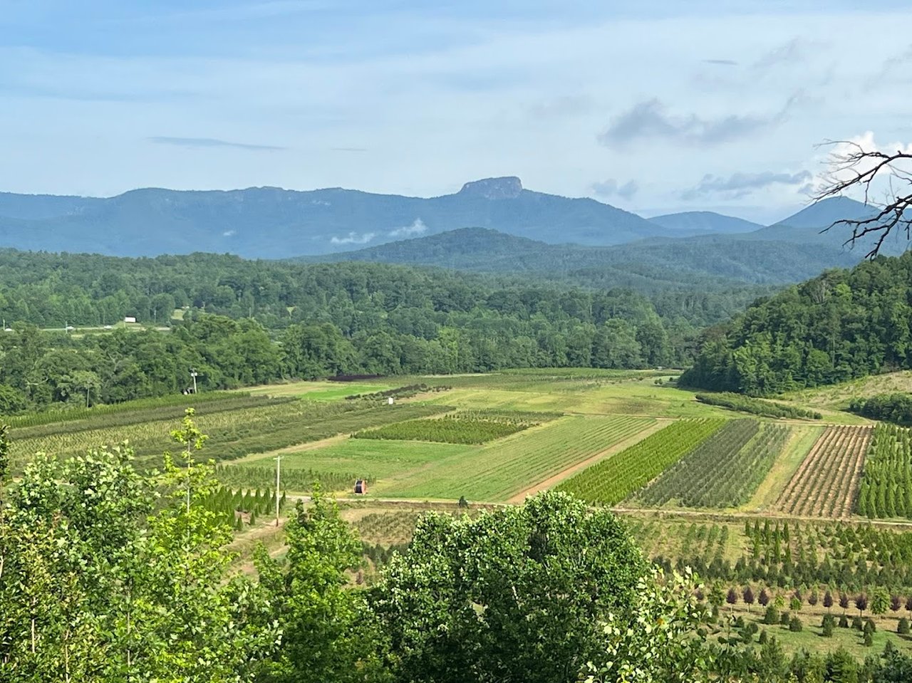 Home with acreage near Morganton NC representing rural real estate and homes with land in Burke County North Carolina