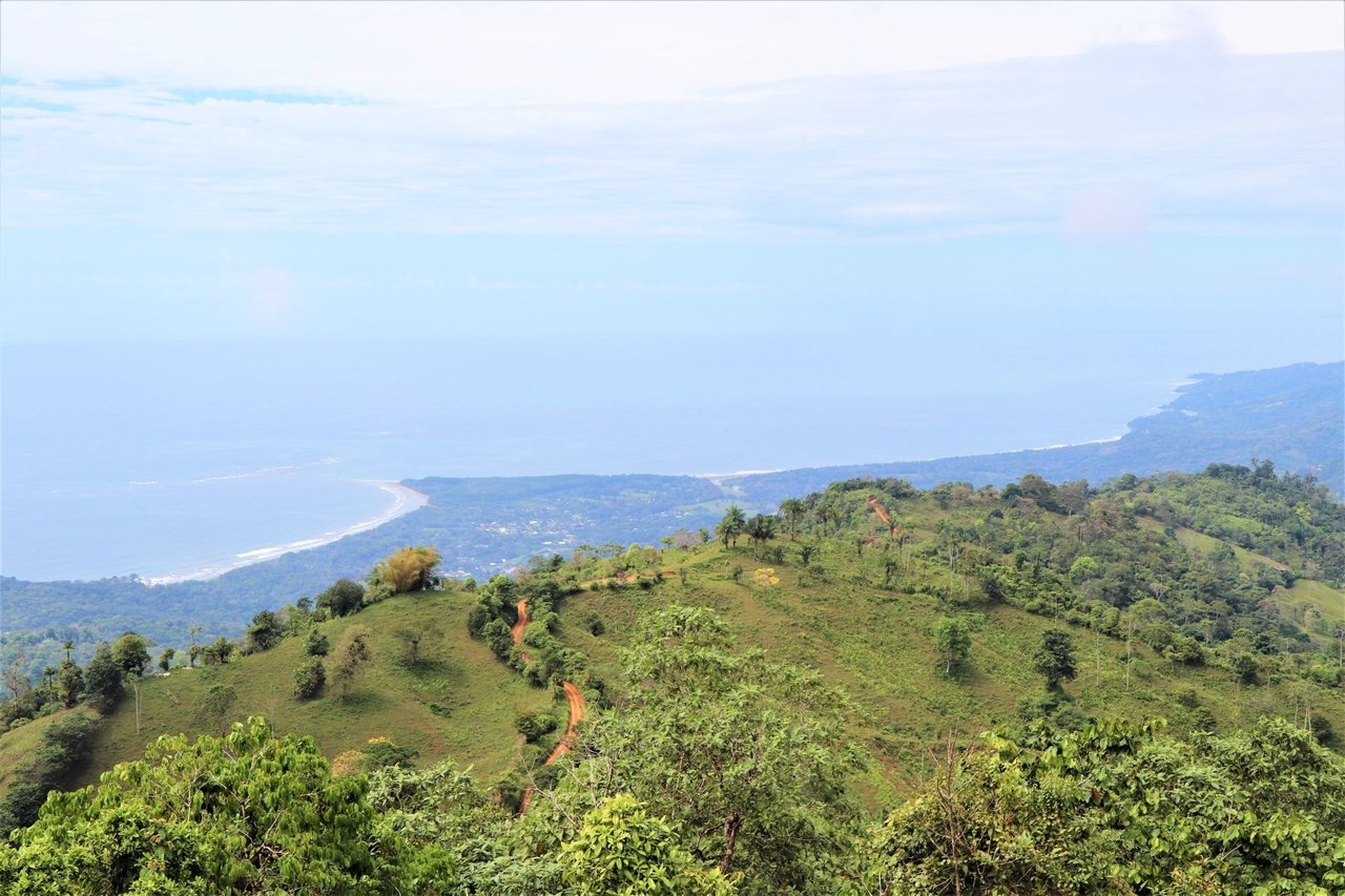 Ocean View Development Farms, Uvita, Puntarenas