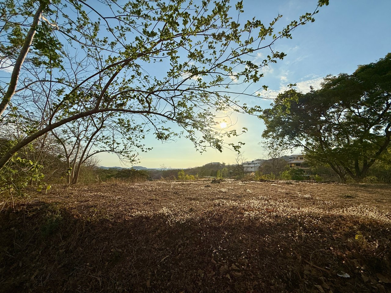 Lot 59 – La Marcela | Tranquil Jungle Ocean View Homesite in Potrero