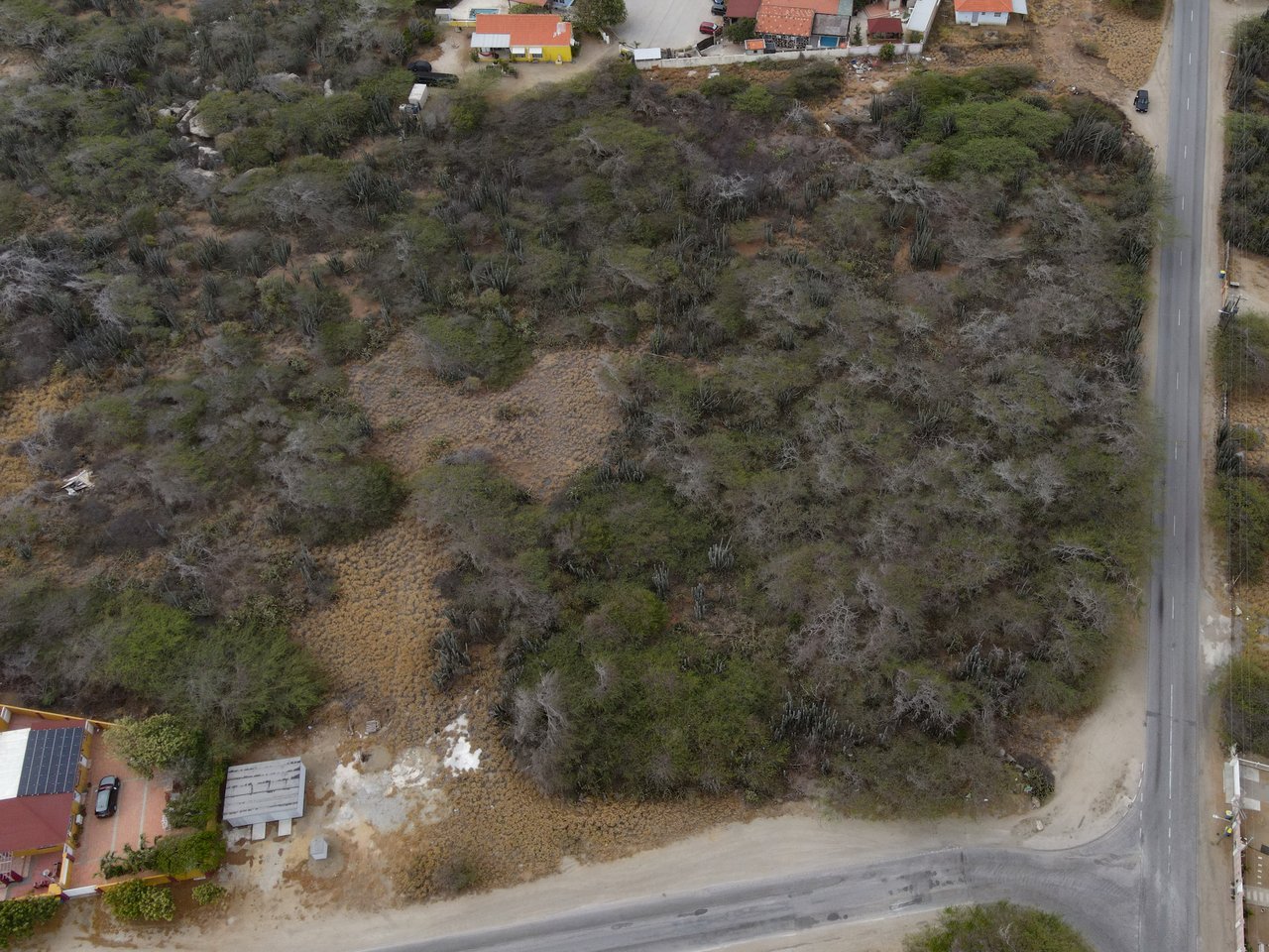 Full Ownership Land in Calbas
