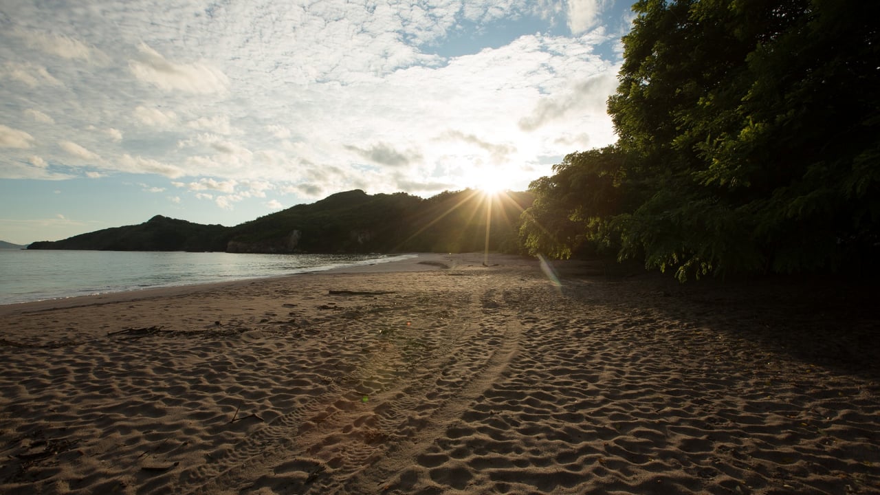 Punta Sabana and Mar Serena Development Opportunity