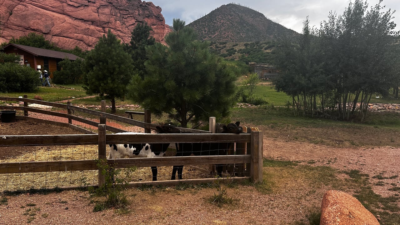 Western Spirit Meets Modern Dreams: Monica Breckenridge Explores Flying W Ranch on American Dream TV