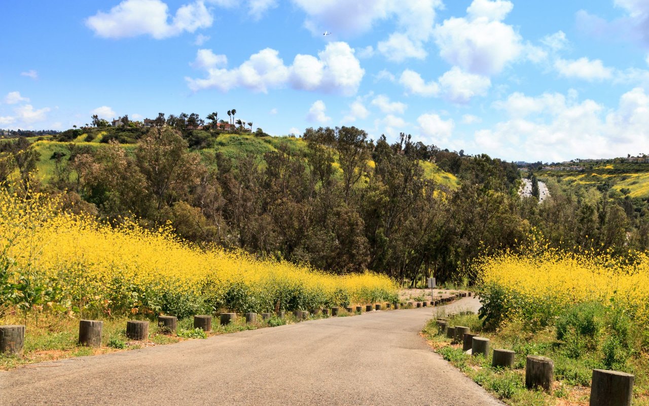 Aliso Viejo