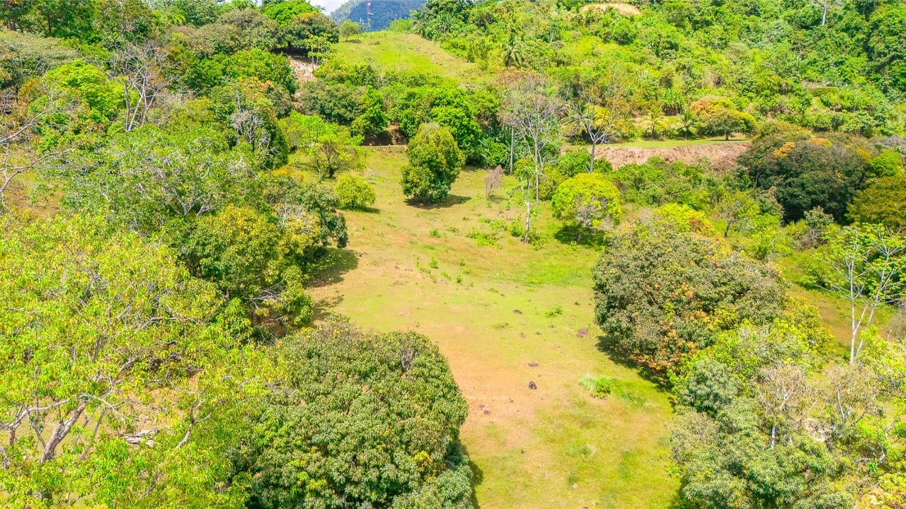 Prime Forest View Lot, Ojochal, Puntarenas