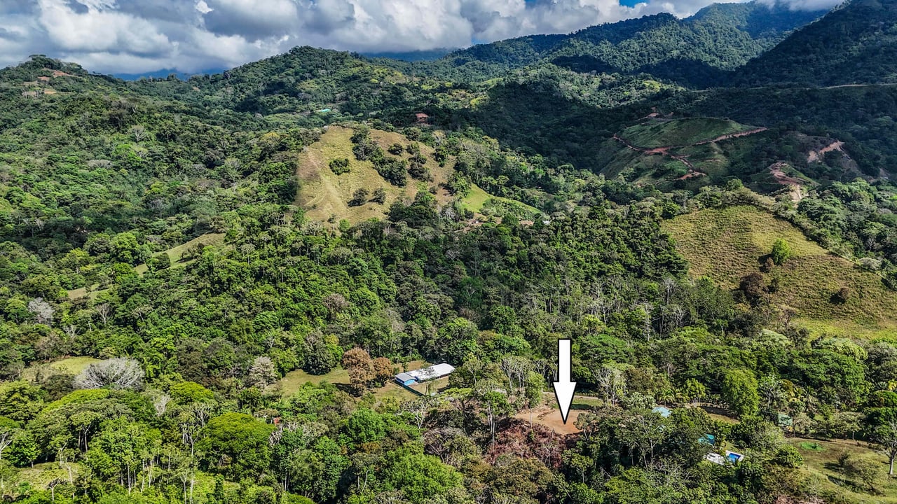 An elevated 1.2 acres lot with two plantels, panoramic mountain and jungle views.