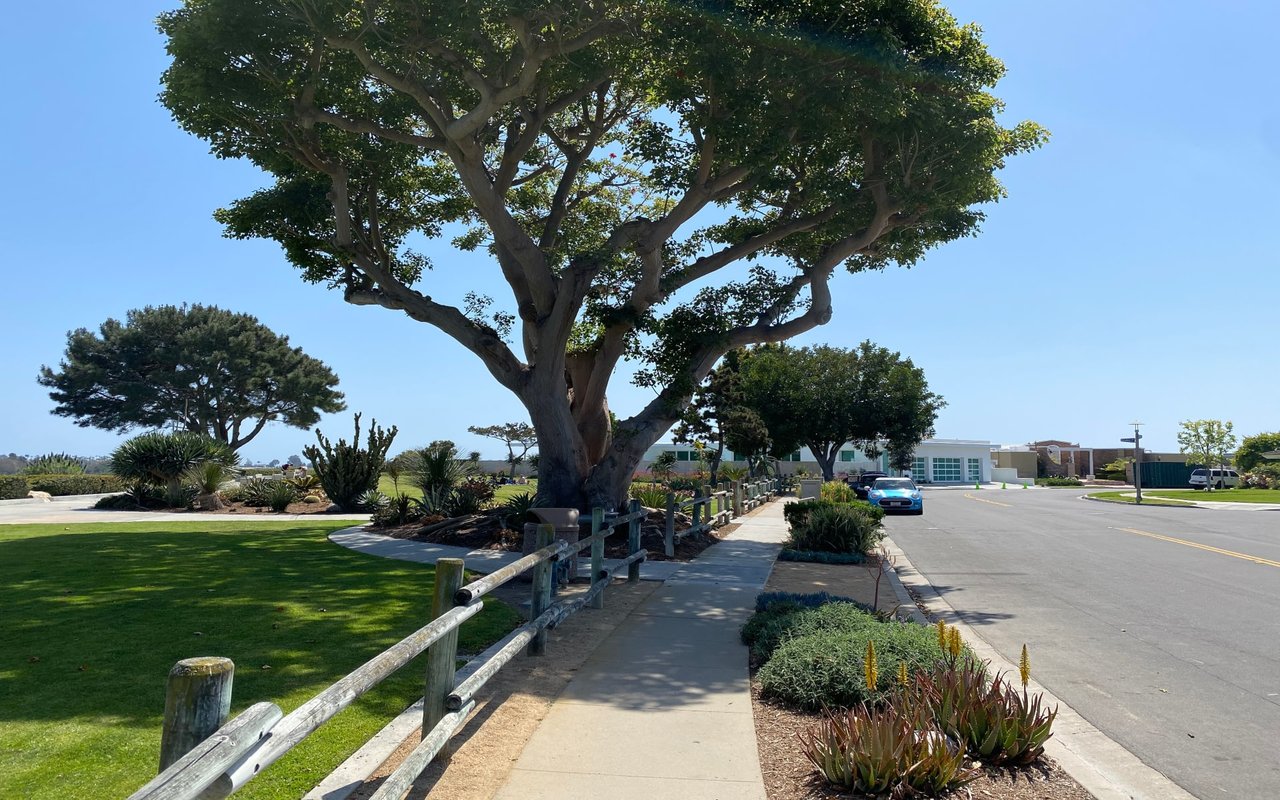 Dover Shores