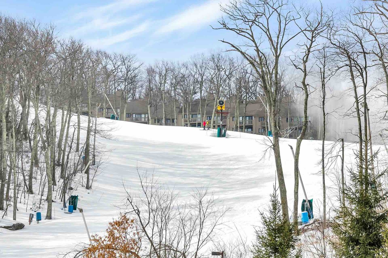 Wintergreen