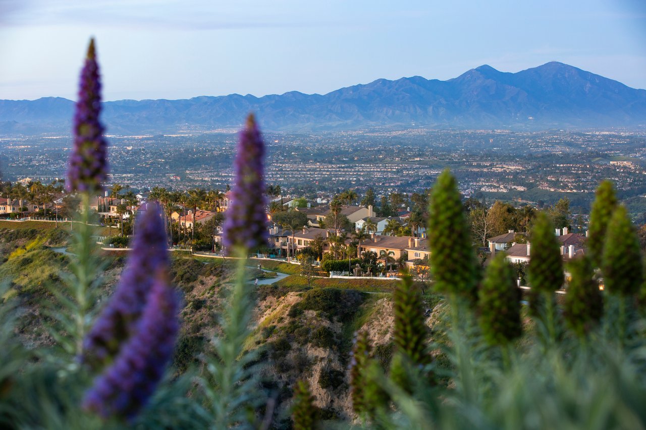 Laguna Niguel