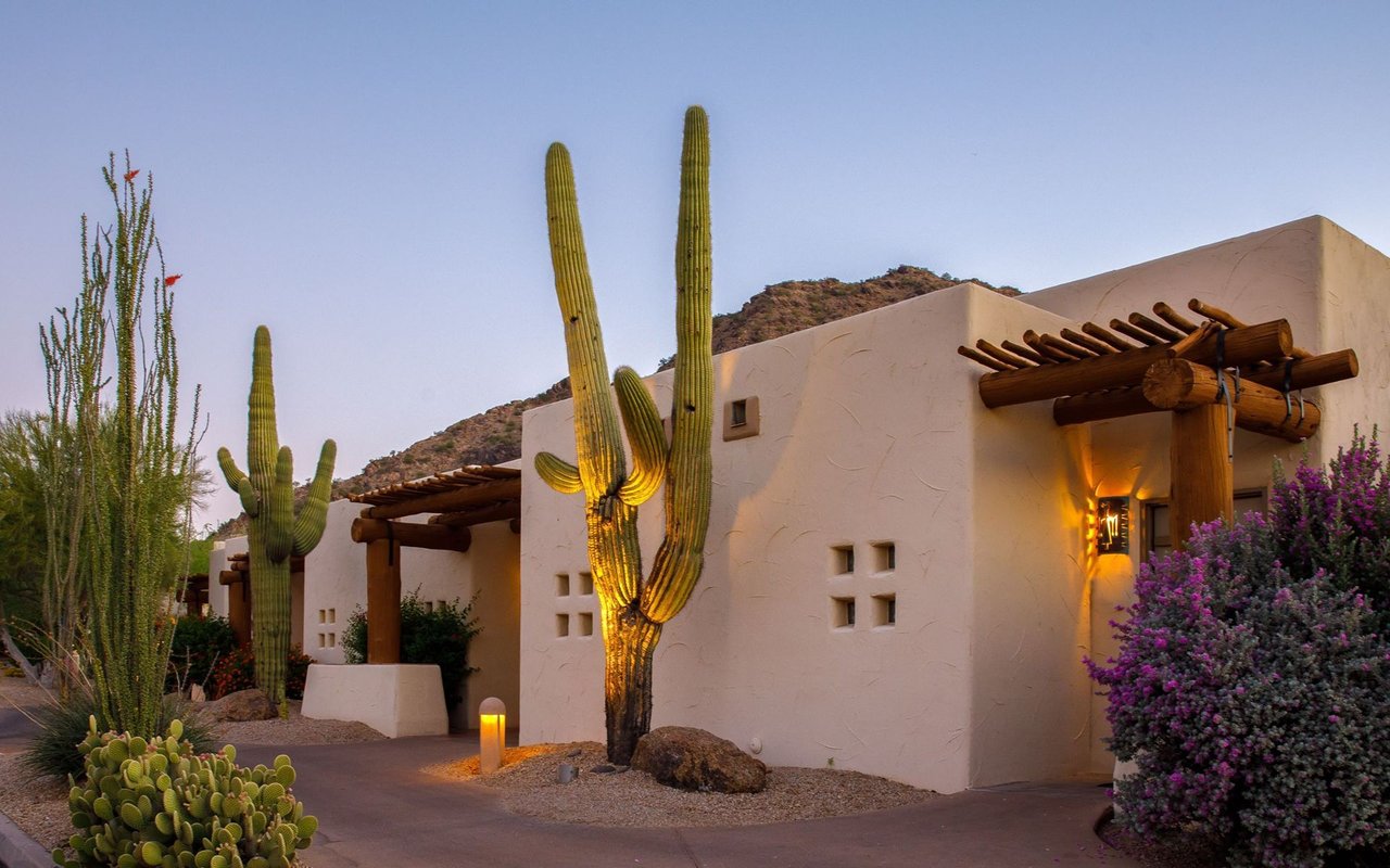 Southwestern stucco homes with timber pergolas and saguaro cacti at dusk.