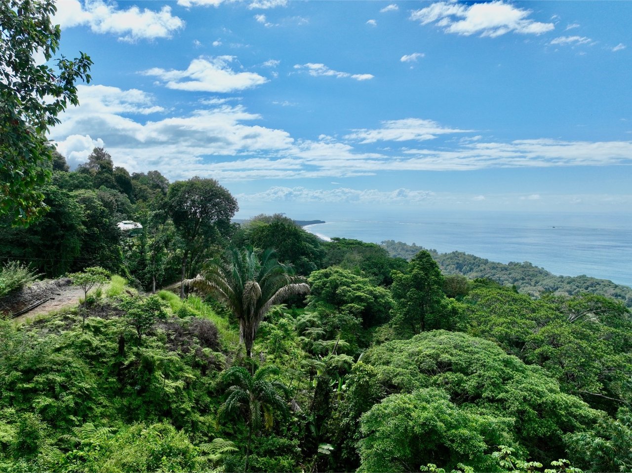 Whale Tail View Building Land, Uvita, Puntarenas