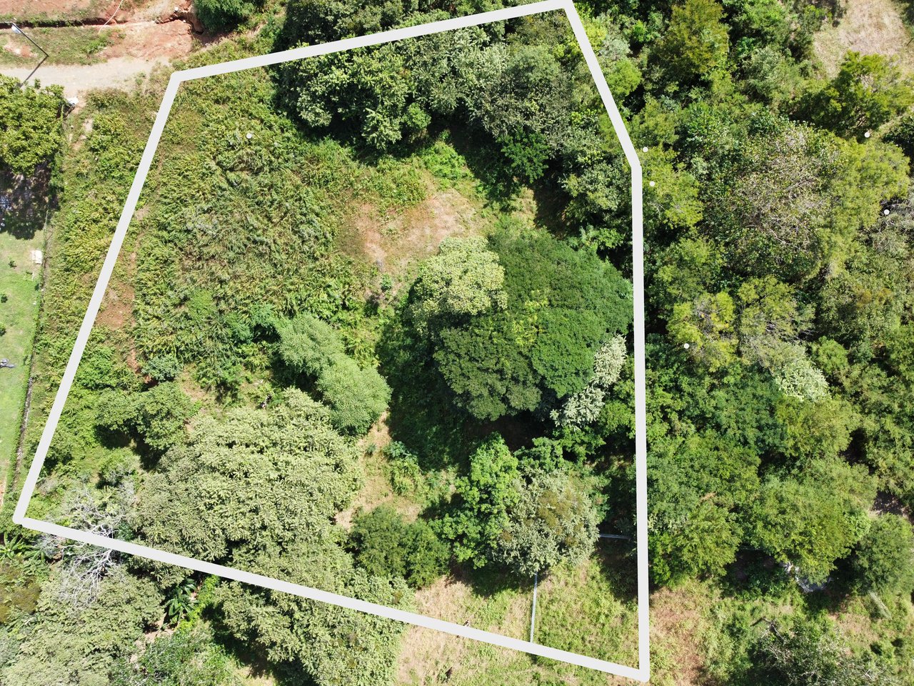 Private Jungle Estate Land in Vistas de Flamingo, Guanacaste, Costa Rica