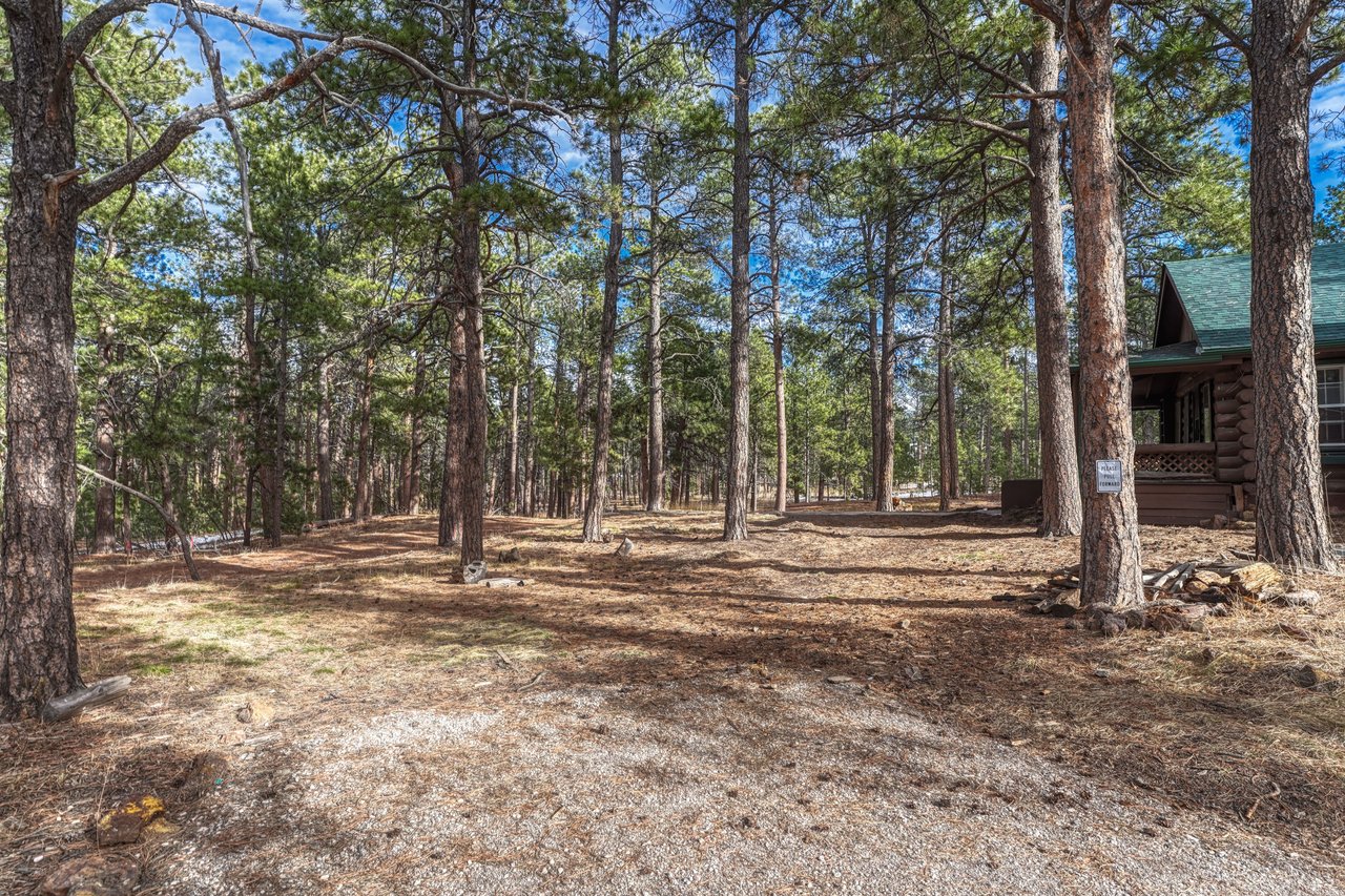 14425 Black Forest Road