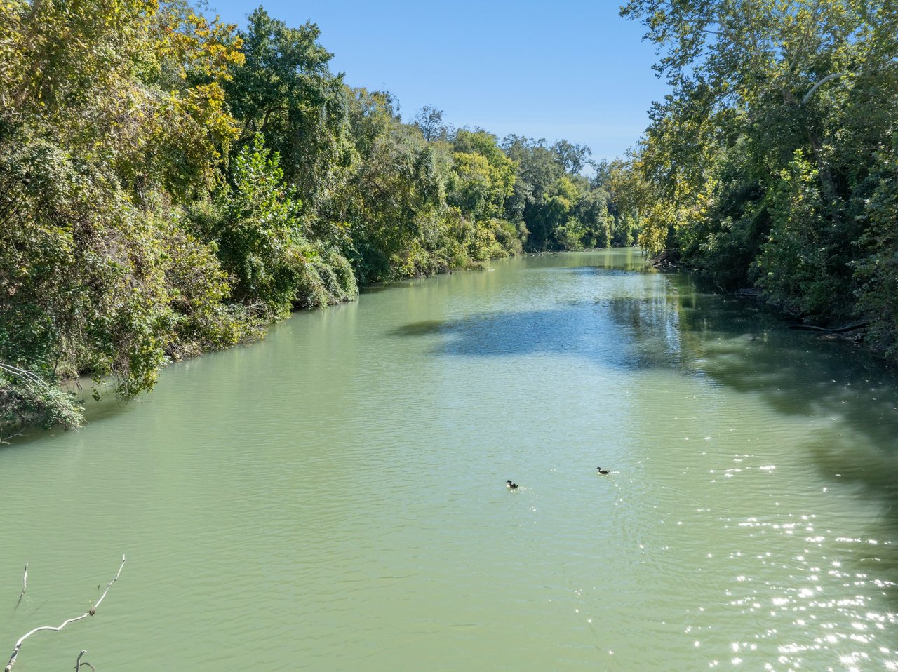 +/- 220 Acre Guadalupe Riverfront Ranch For Sale!