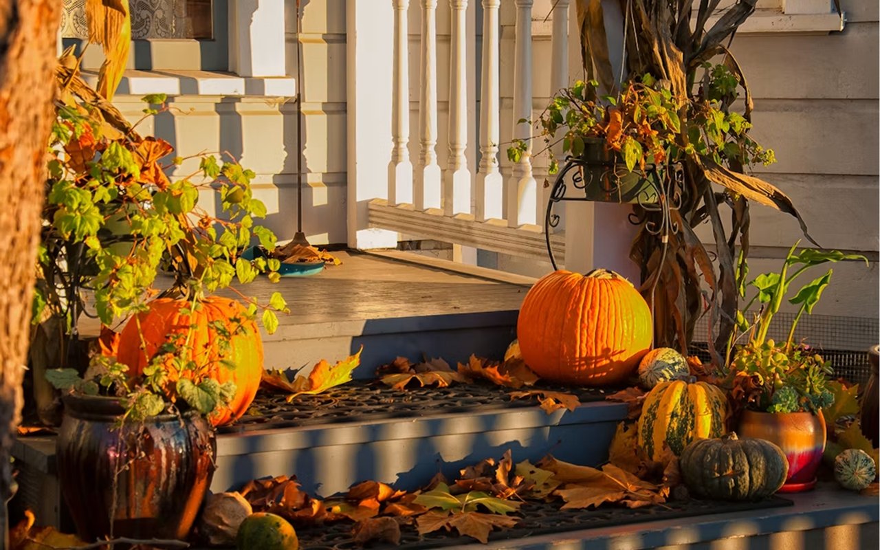 Fall Home Maintenance Tips for Sunset Hills, MO, Homeowners