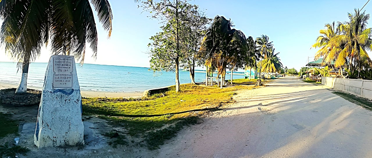 Sarteneja