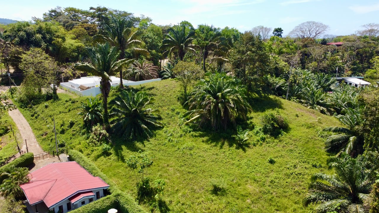 4 Development Lots  in Jardines del Morete