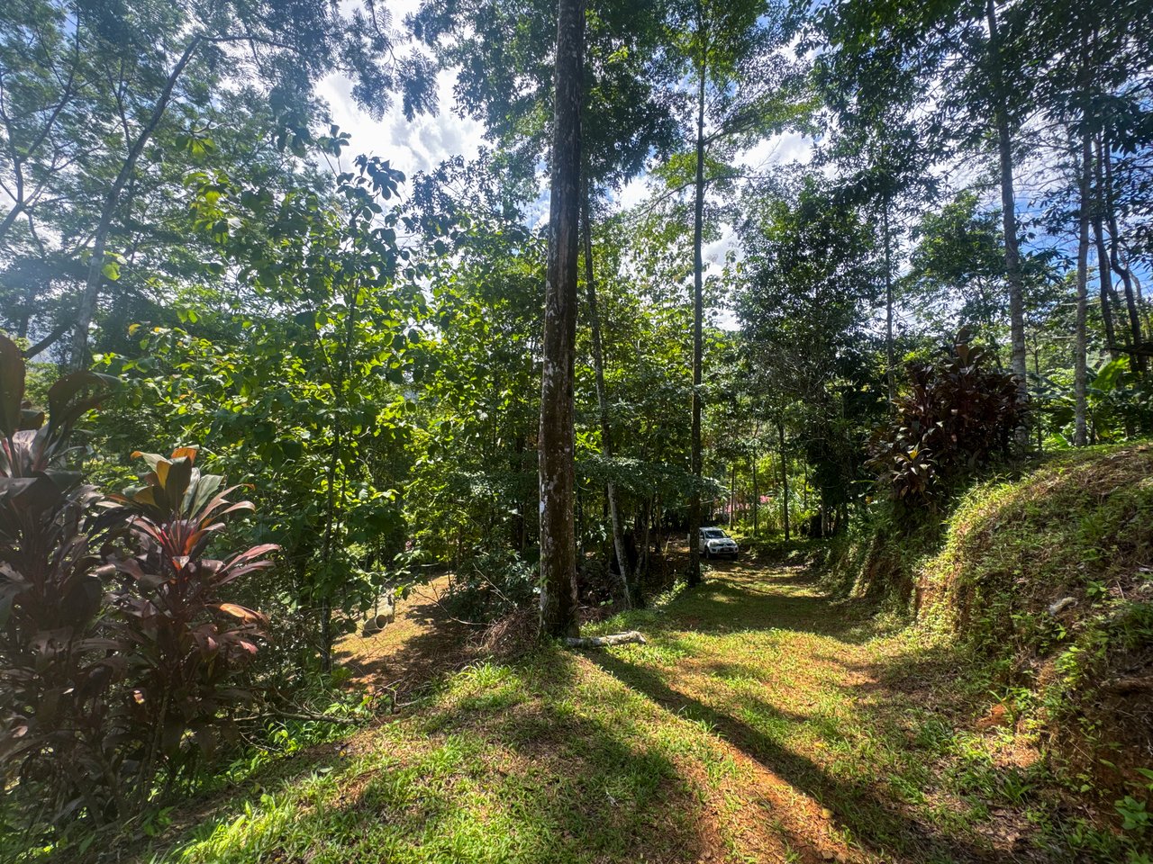 1.2- ACRE Mountain View Property with creek in  La Union Road, Uvita