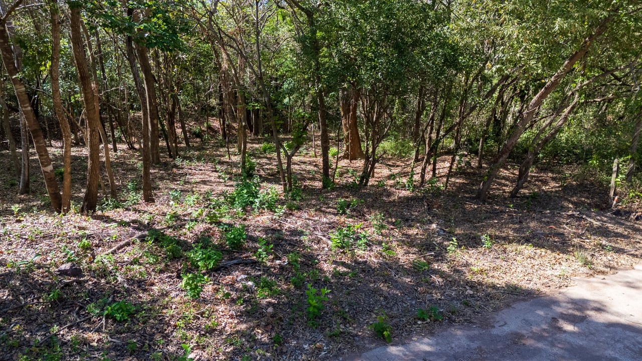 Rancho Las Colinas Lot #107