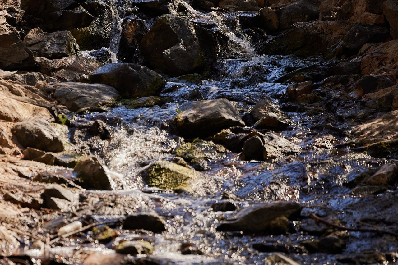 Clear water trickling over dark, sunlit rocks in a small rocky stream