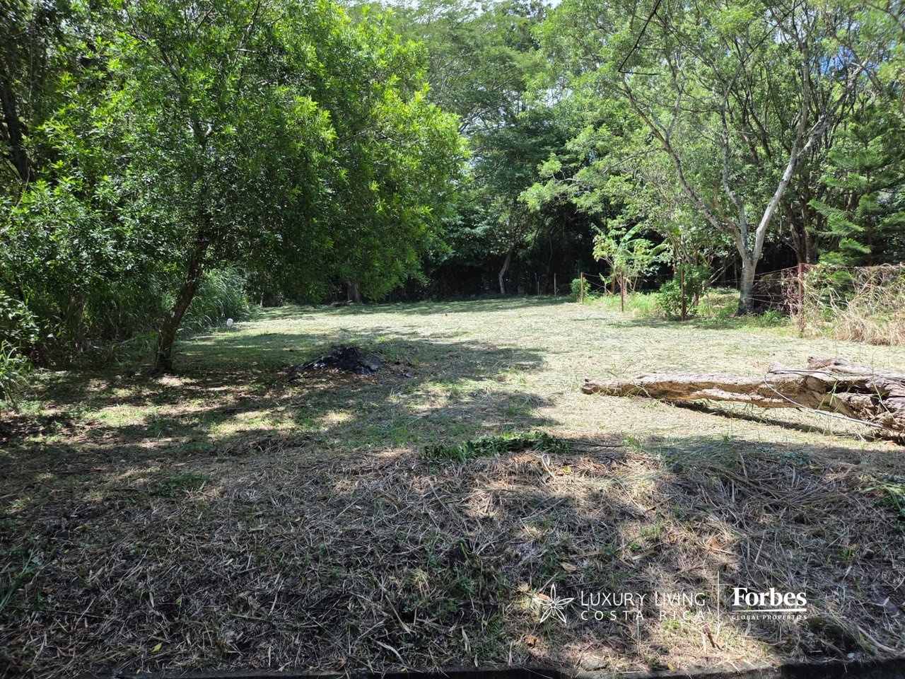Cleared building lot surrounded by mature trees and dense greenery.